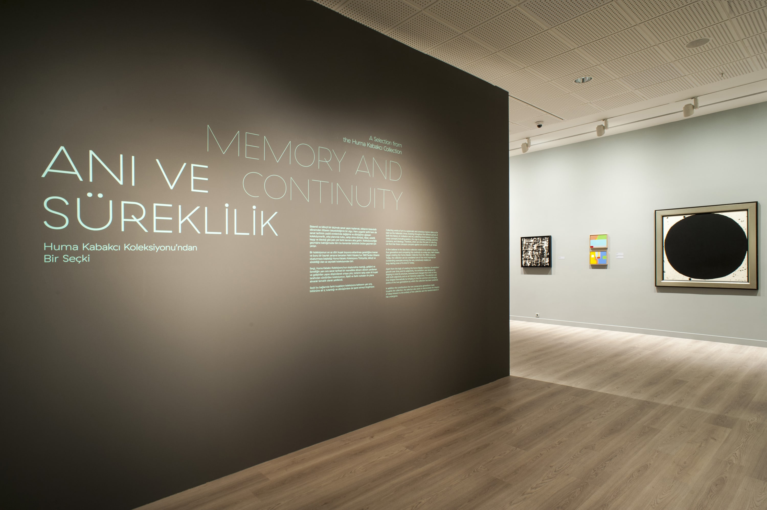 Memory and Continuity gallery 1