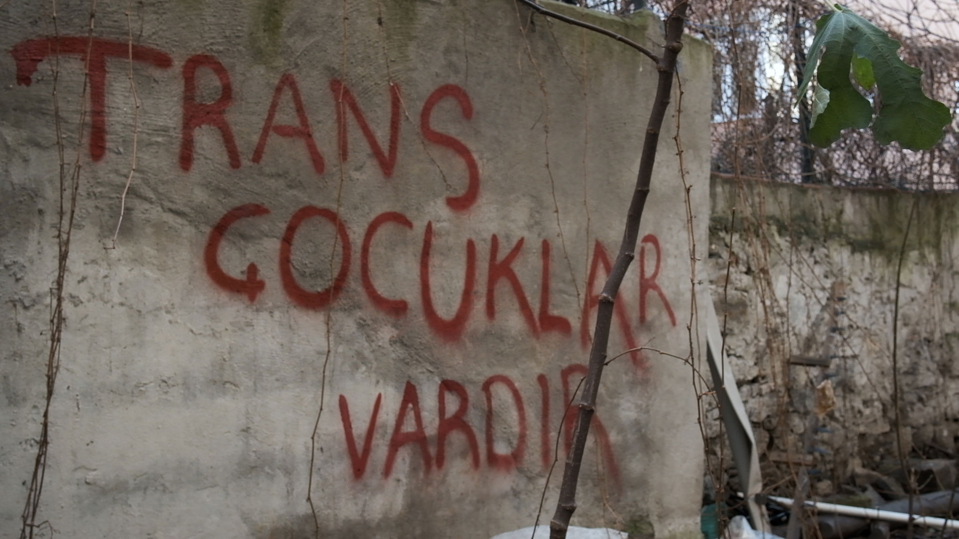 Queer Shorts From Turkey slide 5